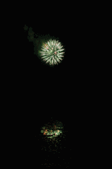 PD Animated Fireworks Smallest.gif
